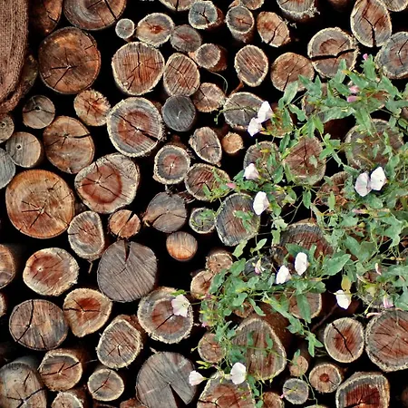 לינה וארוחת בוקר La Masseria Del '700 3*