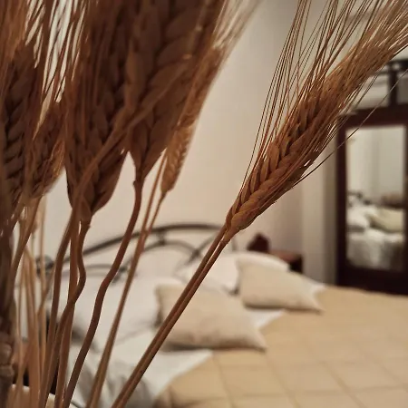 לינה וארוחת בוקר La Masseria Del '700