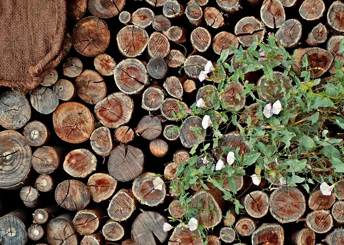 Alojamento de Acomodação e Pequeno-almoço La Masseria Del '700 3*