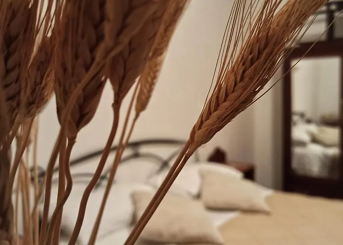 Alojamento de Acomodação e Pequeno-almoço La Masseria Del '700